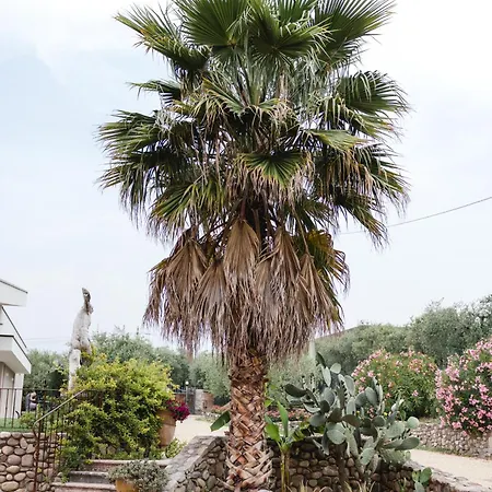 Casa vacanze La Rondinella