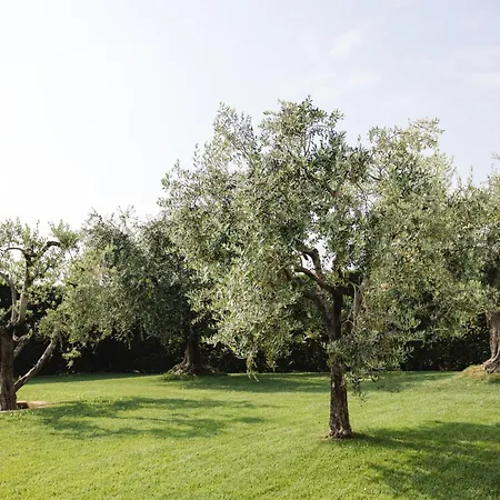 La Rondinella *